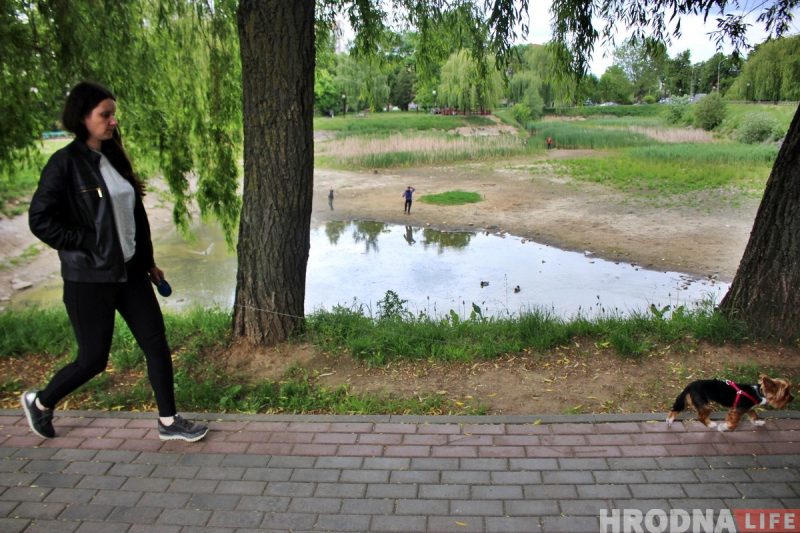 Возле пруда на Репина появится торговый объект: он начнет работу в следующем сезоне Возле пруда на Репина появится торговый объект: он начнет работу в следующем сезоне