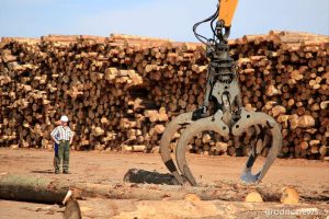 Рабочий процесс на "Мостовдрев". Фото: "Гродненская правда"