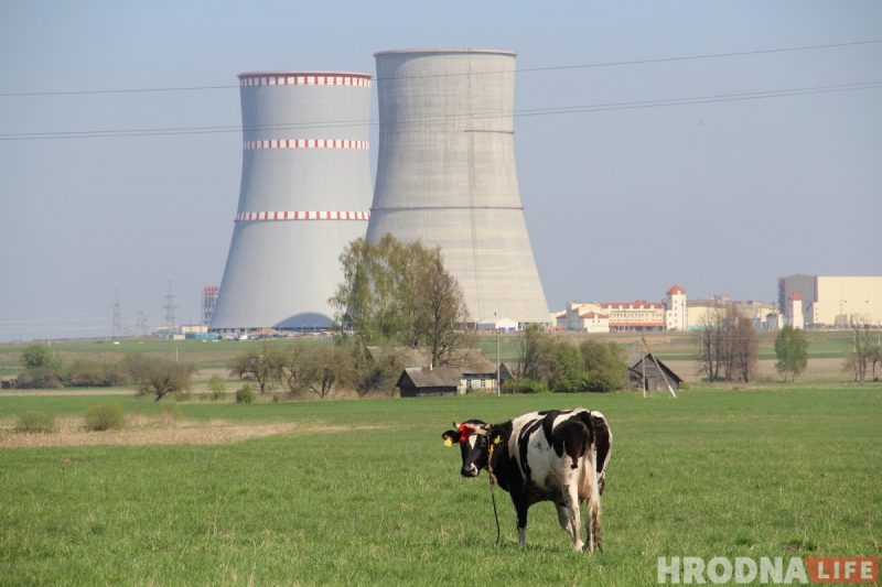 Радиоактивные отходы с БелАЭС могут хранить в Островецком районе