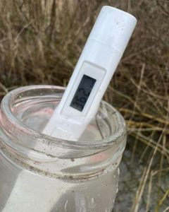 Сцёкі свінакомплексу патрапілі ў лес пад Гродна. На разгляд праблемы сышоў амаль год