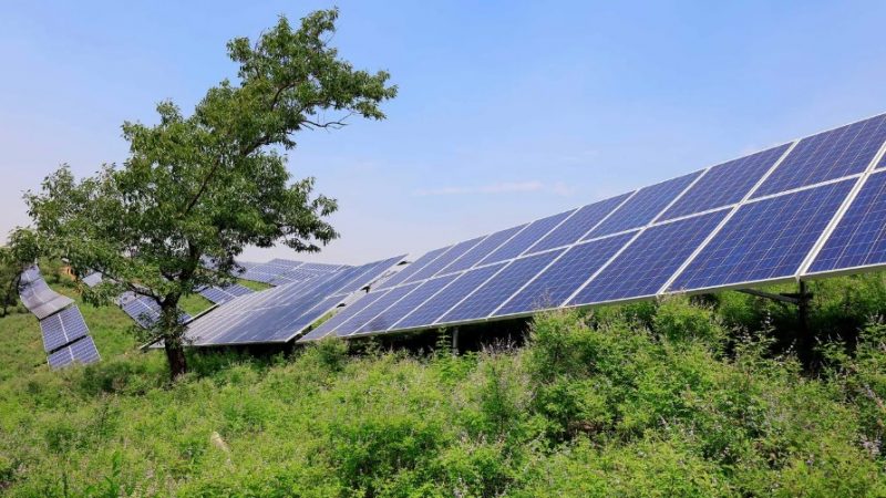 Гродзенская "табачка" закупляе сонечныя панэлі: іх усталююць на фабрыцы і на "Прывале" Сонечныя панэлі.