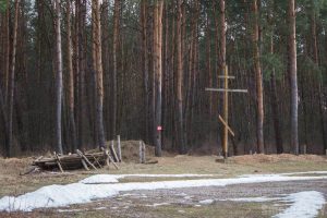 Чыноўнікі адказалі на петыцыю пра ўвядзенне іспыту па гісторыі Беларусі для атрымання грамадзянства Залатая горка ў Смаргоні