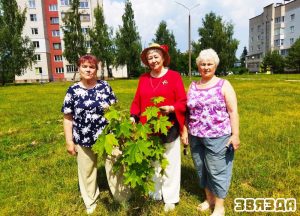 Жыхаркі мікрараёна Дзевятоўка