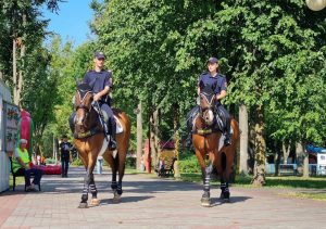 Конная міліцыя