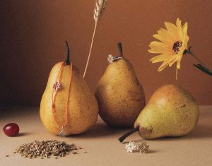 упрыгожванні belaruskicry беларускі край карабін кулон брошка і запанкі