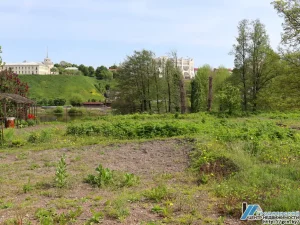 З відам на замкі і драмтэатр: у Гродне можна набыць участак на беразе Нёмана вуліца Чырвонапартызанская