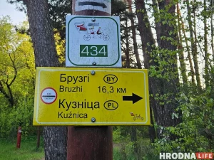 Польшча ўводзіць часовы кантроль на ўсіх сваіх межах