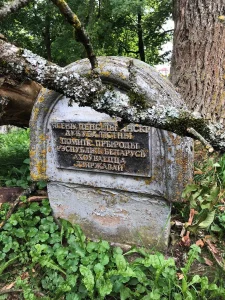 ясень у Жэмыслаўлі