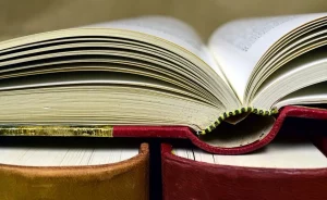 Гродзенцы прапануюць назваць адну з вуліц горада ў гонар Лідзіі Ялоўчык. Хто гэта такая? Кнігі. Фота ілюстрацыйнае: pixabay.com