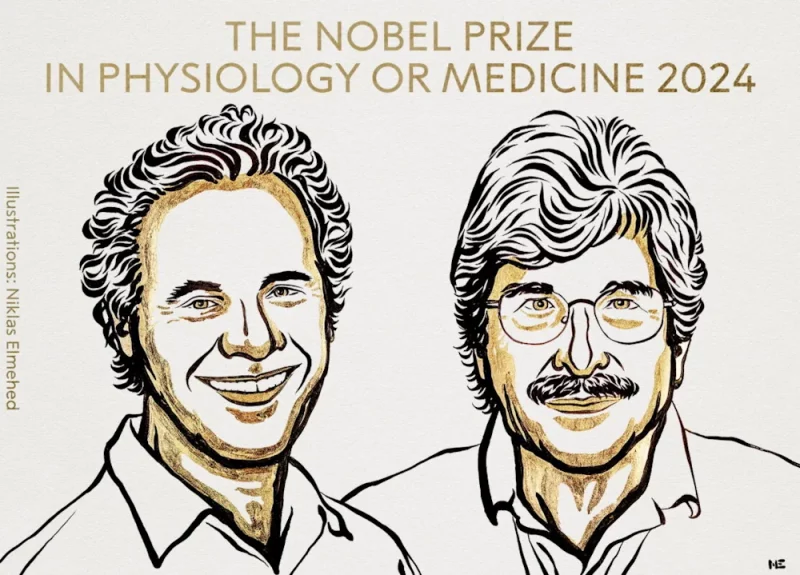 Віктар Амбрас і Гэры Раўкан. Ілюстрацыя Нікласа Элмехеда для Нобелеўскага камітэта