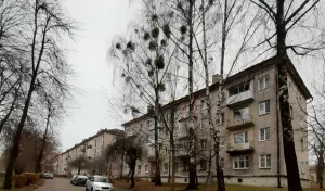 Вуліца Міра ў Гродне. Фота: Гродзенская гарадская ЖКГ