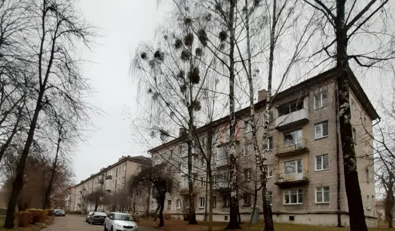 Вуліца Міра ў Гродне. Фота: Гродзенская гарадская ЖКГ