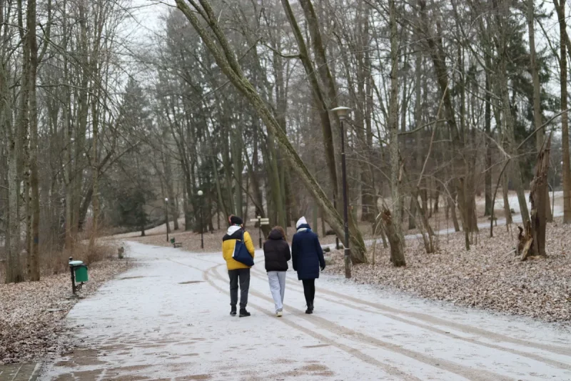 Tourists in the park. Photo: Hrodna. life / MOST