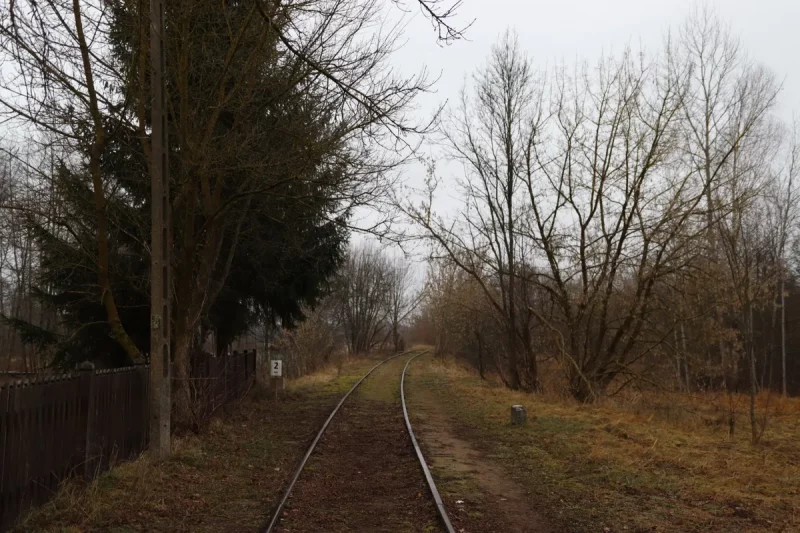 Railway in Bialowieza. Photo: Hrodna. life / MOST