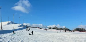 Цюбінгавы схіл у Каробчыцах. Фота ілюстрацыйнае: Instagram gokcor_grodno