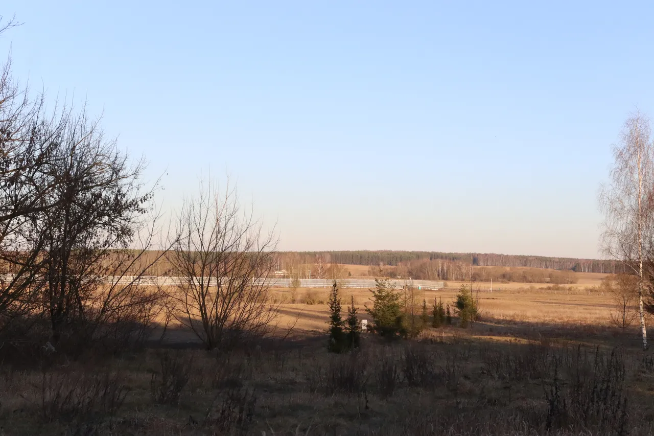 Палі каля плота на мяжы з Беларуссю