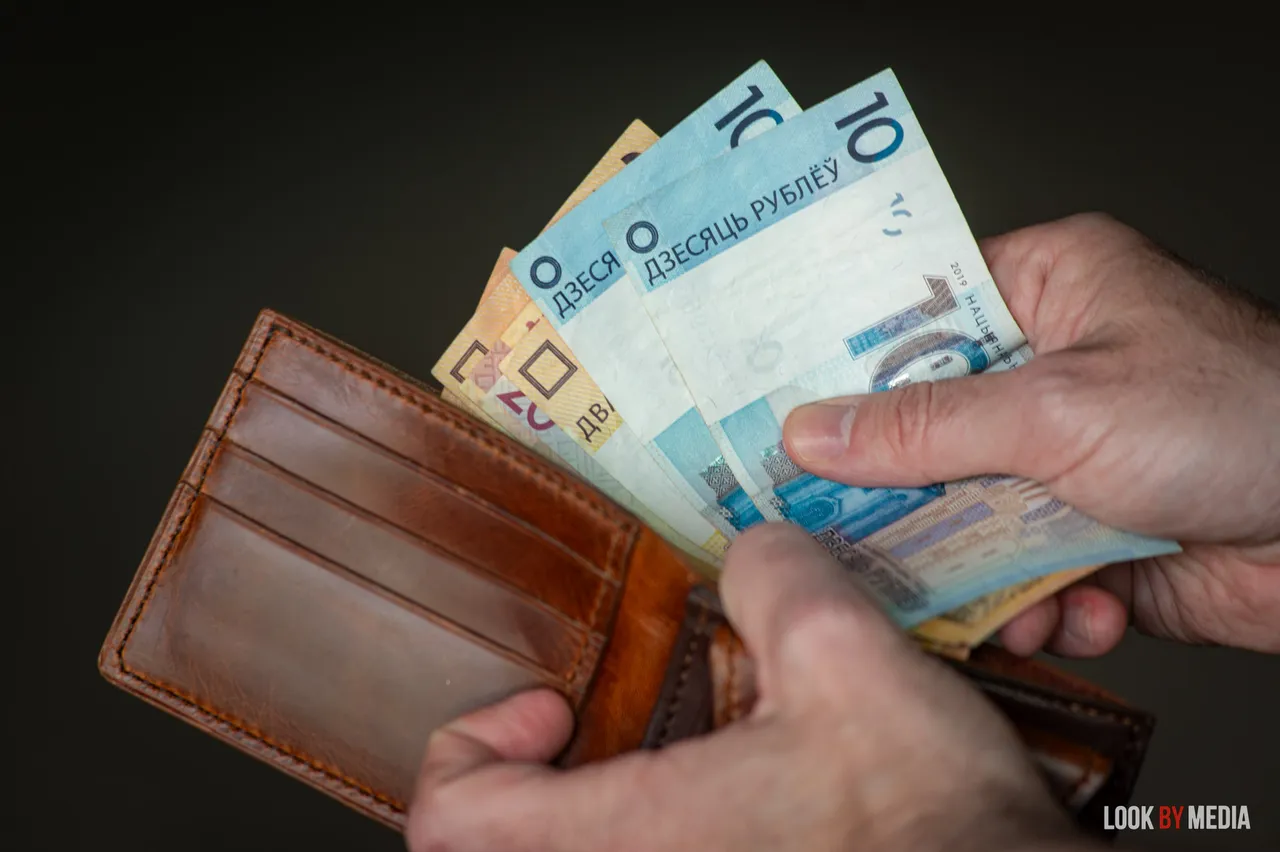 У Гродне затрымалі намесніка дырэктара хімічнага прадпрыемства кошелек с белорусскими рублями