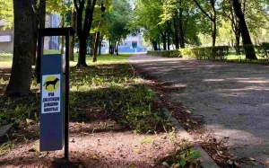 У Гродне ўстанавілі кантэйнеры для ўборкі за сабакамі на выгуле У Гродне ўстанавілі кантэйнеры для ўборкі за сабакамі на выгуле