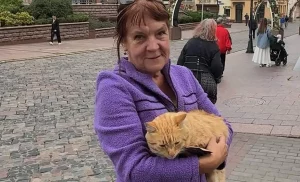 "Выбіў зубы з левага боку". Журналісты знайшлі гаспадыню папулярнага ў сацсетках ката з Гродна