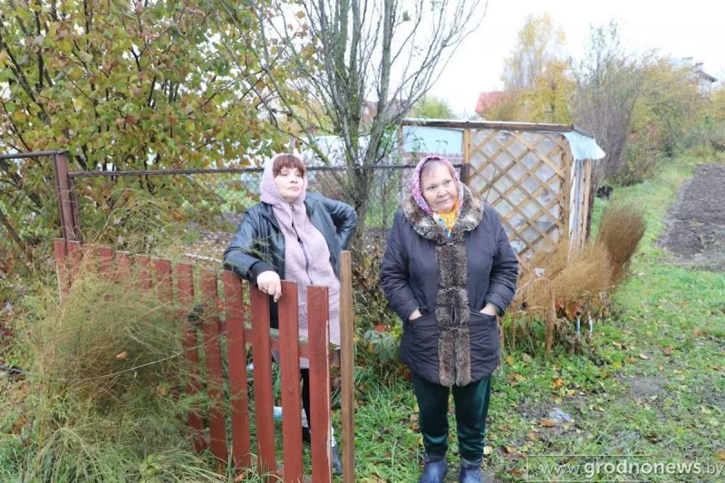 У Каробчыцах мясцовая жыхарка патрабуе аддаць ёй участак «пад агарод» - зямля належыць іншым людзям У Каробчыцах мясцовая жыхарка патрабуе аддаць ёй участак «пад агарод» - зямля належыць іншым людзям