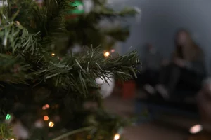 Гродзенка хацела купіць навагоднюю ёлку восенню – яе падманулі Ель; елка; новый год.