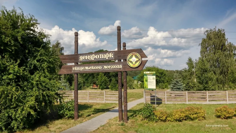У Скідзельскім дэндрапарку з'явіцца музей лясной гісторыі У Скідзельскім дэндрапарку з'явіцца музей лясной гісторыі