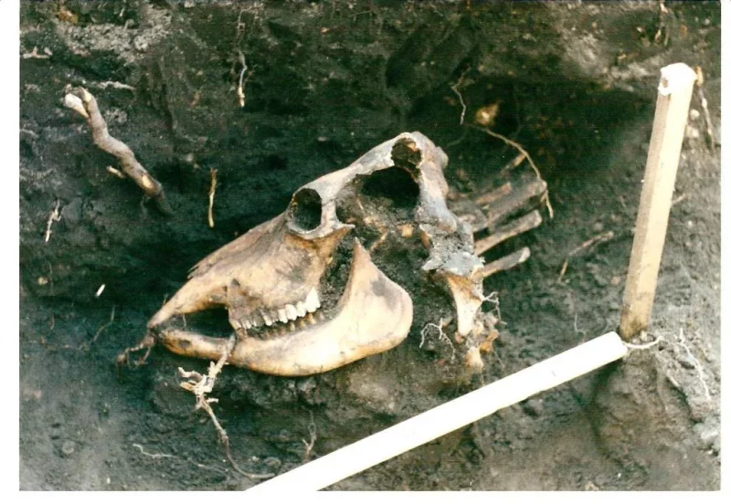 У Навагрудку археолагі знайшлі падмурак XVIII стагоддзя (абноўлена)