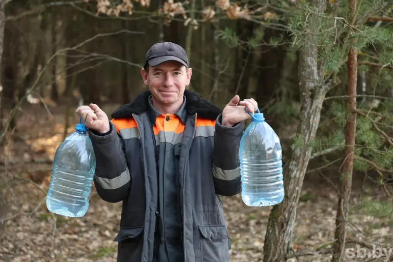 У лясгасах вобласці ўжо можна купіць бярозавы сок. Колькі ён каштуе? У лясгасах вобласці ўжо можна купіць бярозавы сок. Колькі ён каштуе?