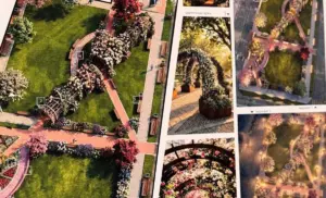 Аксаміткі, валуны, альтанка і статуя. У Гродне з’явіцца «жаночы» сквер Сквер Гродно