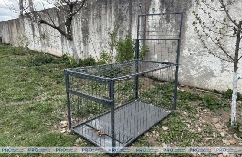 ловушки для собак