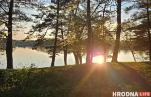 Гродзенская фірма забруджвала лес – у судзе яна спрабавала схітраваць з спробамі