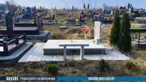 Жыхарка Гродна скрала на могілках чатыры туі. Цяпер ёй пагражае тры гады калоніі кладбище Аульс