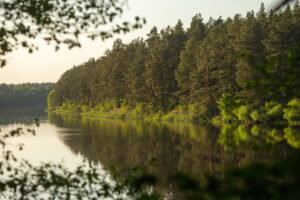 Неман путешествие Элиза Ожешко Нёман Над Нёманам Эліза Ажэшка