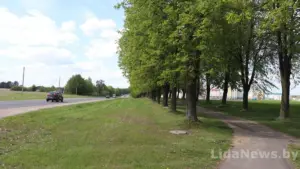У цэнтры Ліды - цёмна і небяспечна хадзіць уначы. Ліхтары абяцаюць, але не ў гэтым годзе Лида улица Свердлова