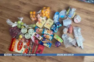 У гродзенскай шматпавярхоўцы знік пакет з прадуктамі - завялі крымінальную справу У гродзенскай шматпавярхоўцы знік пакет з прадуктамі - завялі крымінальную справу