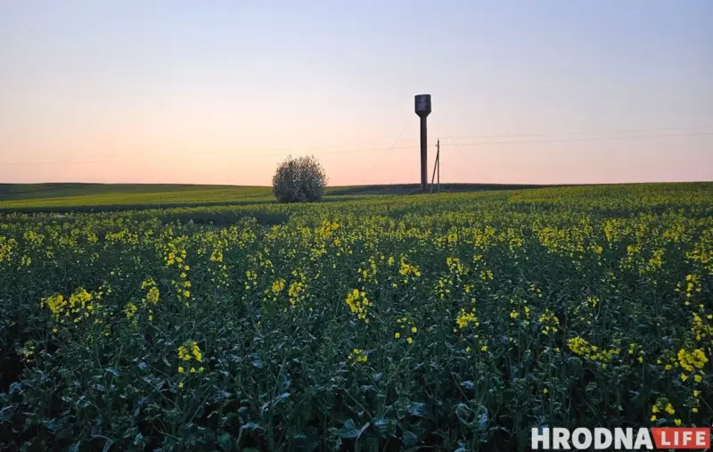 У Смаргоні работніцу фермы асудзілі за забруджванне земляў